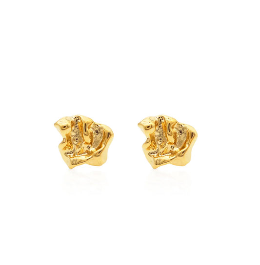 Stainless steel earrings with 18k gold plating Charm