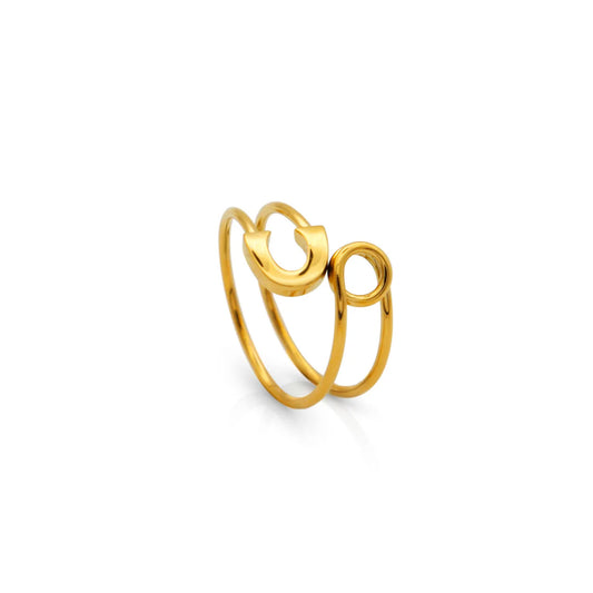 Stainless steel ring with 18k gold plated Needle