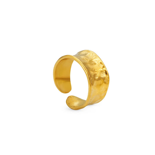 Stainless steel ring with 18k gold plating Connection